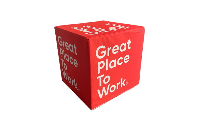 GPTW terning/puff image